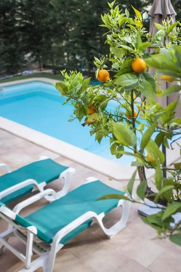 Can Pelle Soller Holiday home