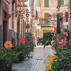 Ca's Cuscanti Sóller